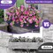 Artificial Fake Flowers Plants for Outdoor Decoration, 2PCS Spring Faux Petunias Silk Flower UV Resistant No Fade Floral